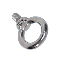 Stainless Steel Collared Eye Bolt Stainless Steel Collared Eye Bolt